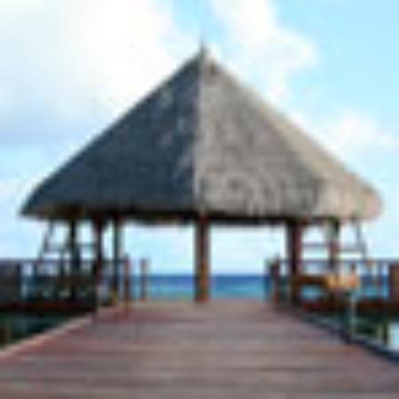 Xin Chang Peng Cheng Ren Jia Seafood Restaurant